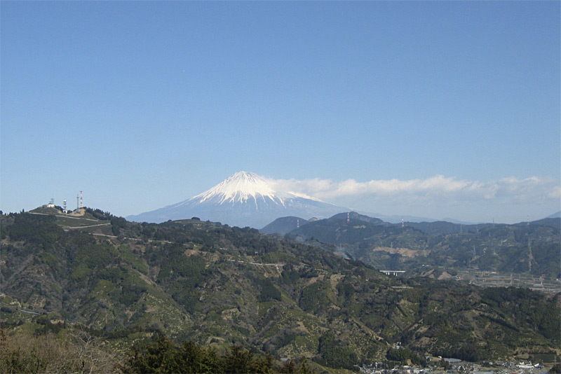 瀬名の一本松公園