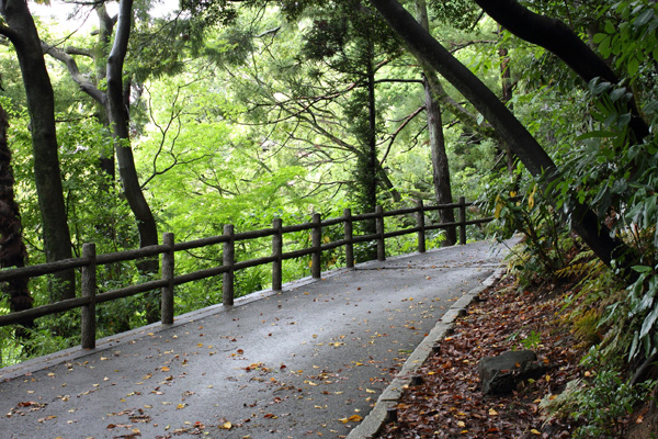 清水公園の坂道