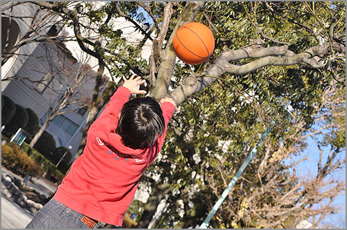 バスケット　シュート