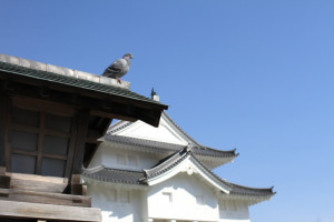 駿府城 坤櫓の前で一休み