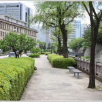 駿府公園を散歩中