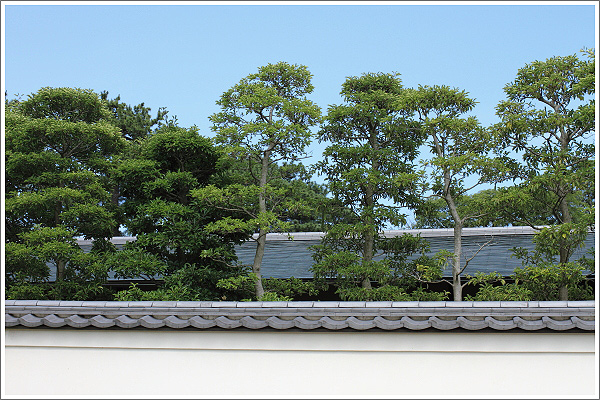 駿府公園内の茶室