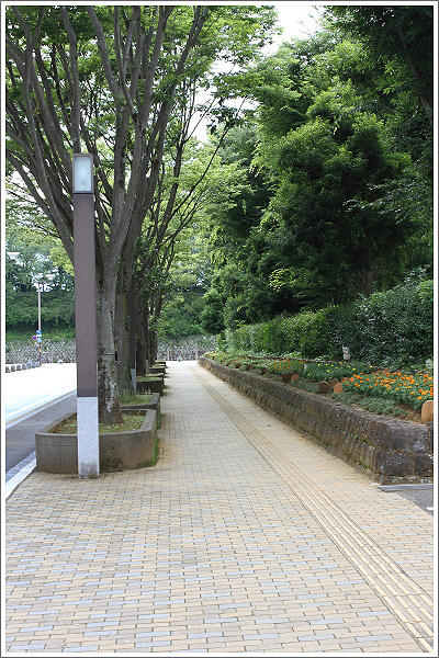 駿府公園　内堀