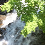 清水公園の滝を眺めて