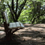 音羽公園のベンチ