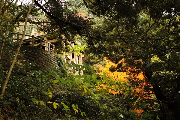 清水公園の紅葉