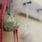 家の中での撮影