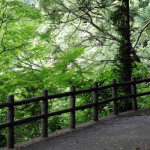 清水公園の坂道