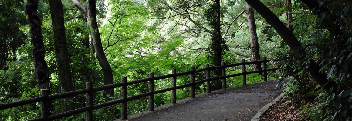 清水公園の坂道