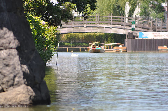 松江城　堀川遊覧